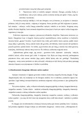 Bendruomenės slaugytojų problemos bei galimi jų sprendimo būdai 7 puslapis