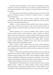 Diskriminacija dėl neįgalumo Lietuvoje ir užsienyje 19 puslapis