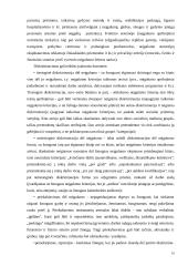 Diskriminacija dėl neįgalumo Lietuvoje ir užsienyje 10 puslapis