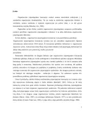 LVTGO „Gelbėkit Vaikus“ situacijos analizė 2 puslapis