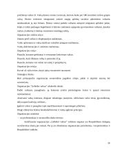 LVTGO „Gelbėkit Vaikus“ situacijos analizė 20 puslapis