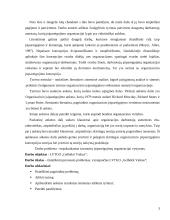 LVTGO „Gelbėkit Vaikus“ situacijos analizė 3 puslapis