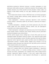 LVTGO „Gelbėkit Vaikus“ situacijos analizė 6 puslapis