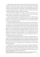 Bendruomenių judėjimo iniciatyvos 13 puslapis