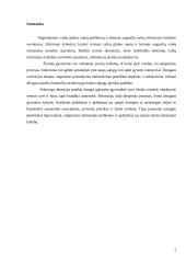 Globos namuose ir biologinėse šeimose augančių vaikų rekreacijos ypatumai 2 puslapis