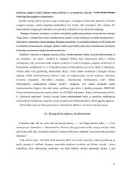 Bendruomenių judėjimo iniciatyva ir perspektyvos Lietuvoje 11 puslapis