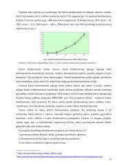 Bendruomenių judėjimo iniciatyva ir perspektyvos Lietuvoje 13 puslapis