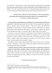 Bendruomenių judėjimo iniciatyva ir perspektyvos Lietuvoje 16 puslapis