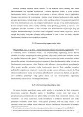 Bendruomenių judėjimo iniciatyva ir perspektyvos Lietuvoje 17 puslapis