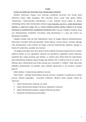 Bendruomenių judėjimo iniciatyva ir perspektyvos Lietuvoje 3 puslapis