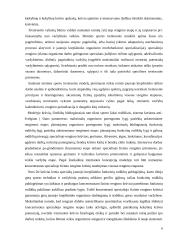 ES jaunųjų sportininkų rengimo projekcija Lietuvai 8 puslapis