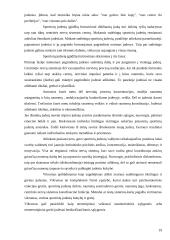 Moksleivių saugus fizinis paruošimas 19 puslapis