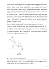 Jaunųjų krepšininkų fizinės ypatybės ir jų ugdymas 20 puslapis