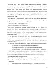 Jaunųjų krepšininkų fizinės ypatybės ir jų ugdymas 8 puslapis