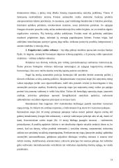 Mokinių fizinio aktyvumo įtaka sveikatai 13 puslapis