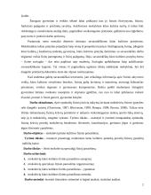 Saugūs fiziniai pratimai 2 puslapis