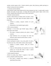 Saugūs fiziniai pratimai 11 puslapis