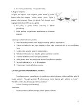 Saugūs fiziniai pratimai 12 puslapis