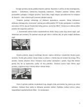 Saugūs fiziniai pratimai 5 puslapis