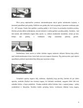 Saugūs fiziniai pratimai 6 puslapis