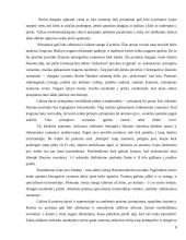 Saugūs fiziniai pratimai 8 puslapis