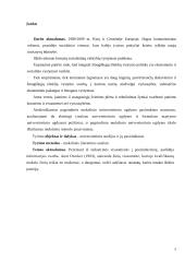 Universitetinės studijos ir jų pasirinkimas 2 puslapis