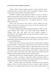 Universitetinės studijos ir jų pasirinkimas 13 puslapis