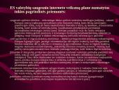 Teisės informatika skaidrės 13 puslapis