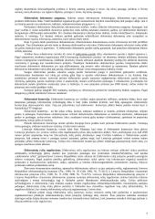 Informacinių technologijų teisinio reglamentavimo principai konspektas 7 puslapis