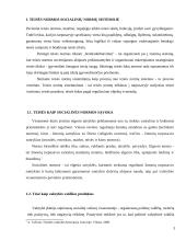 Teisė kaip socialinių normų sistema 3 puslapis