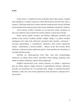 Teisės sistema referatas 2 puslapis