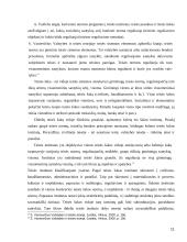 Teisės sistema ir jos rūšys 11 puslapis