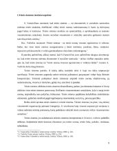 Teisės sistema ir jos rūšys 3 puslapis