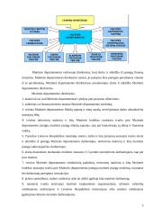 Muitinės departamentas 5 puslapis