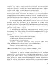 Teisėsaugos, finansų kontrolės vykdančios institucijos Lietuvoje 4 puslapis