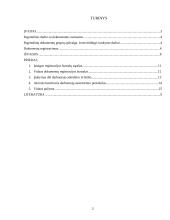 Pagrindiniai darbo su dokumentais principai 2 puslapis