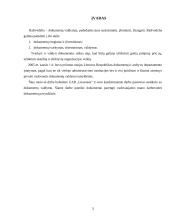 Pagrindiniai darbo su dokumentais principai 3 puslapis