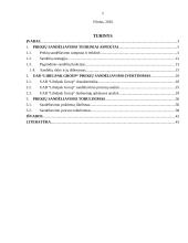 UAB “Libelpak Group“ prekių sandėliavimo tobulinimas 2 puslapis