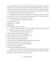 UAB “Libelpak Group“ prekių sandėliavimo tobulinimas 11 puslapis