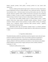 UAB “Libelpak Group“ prekių sandėliavimo tobulinimas 13 puslapis