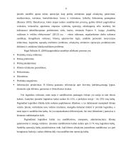 UAB “Libelpak Group“ prekių sandėliavimo tobulinimas 6 puslapis