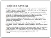 Projektų trukmės valdymo tobulinimas NMA 2 puslapis