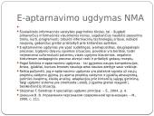 Projektų trukmės valdymo tobulinimas NMA 9 puslapis