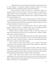 UAB „Regneta“ paskirstymo politika 12 puslapis