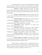 UAB „Regneta“ paskirstymo politika 20 puslapis
