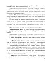 Banko paslaugų kokybės strateginio valdymo ir paslaugų kokybės planavimo aspektai 12 puslapis