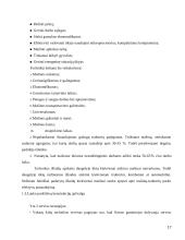 Pesticidų purškimo agregatas 17 puslapis