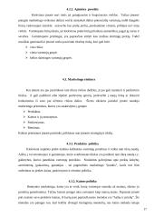 Pieno – sulčių gėrimo įvedimo į maisto pramonės rinką marketingo programa 17 puslapis