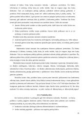 Pieno – sulčių gėrimo įvedimo į maisto pramonės rinką marketingo programa 18 puslapis