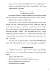 Pieno – sulčių gėrimo įvedimo į maisto pramonės rinką marketingo programa 19 puslapis